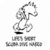 scuba_frog