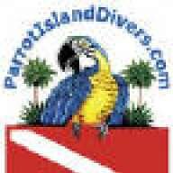 ParrotIsalandDivers-com