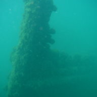 al303