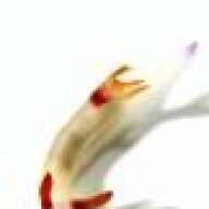 bvanant
