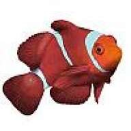 scubasimon