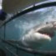 Hammerhead