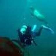 undrwater
