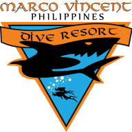 MV Dive