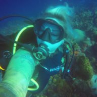 aseahorseofcourse