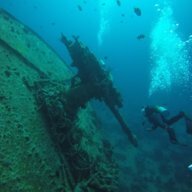 Philly_Diver