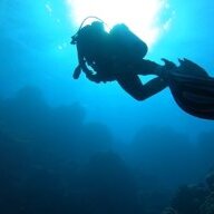 divingbarberwv