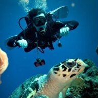 Divingblueberry