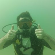 Diver below 83
