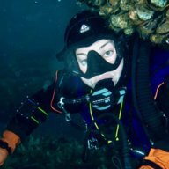 dive1bb