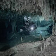Hodg