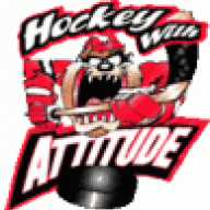 TxHockeyGuy