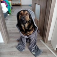 Azraelien