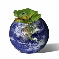 FrogmanFred
