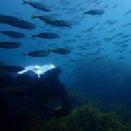 DiveClimbRide