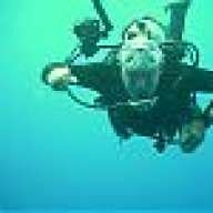 reeldive
