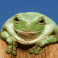 Lone Frogman