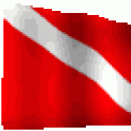 DiverBuoy