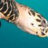 diverrex