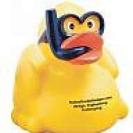 Scuba Duck