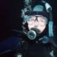 Diver_Dale