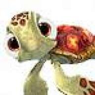 Angel_fish