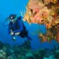 Dive Choice Mexico