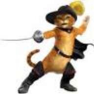 FritzCat66