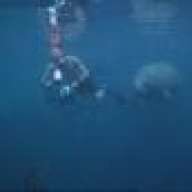 ocean walker