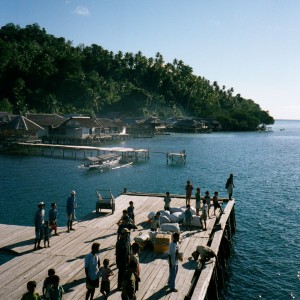 Sulawesi 2002
