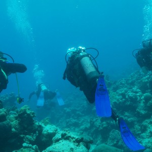 My dive Pic's