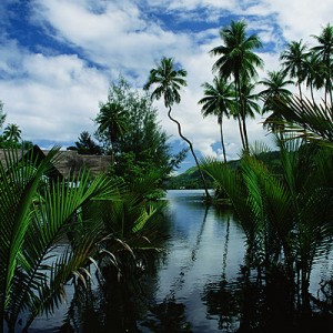 Small Lagooon at Tahiti Botanical Gardens