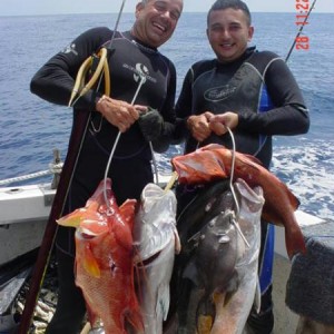 Spearfishing in Florida