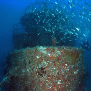 Diver On The Wreck Of The Tacoma