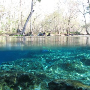 Topside at Ginnie Springs