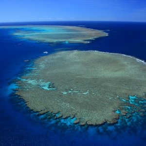 Aerial of Opal Reef
