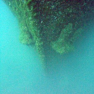 Wreck of the SS Wexford