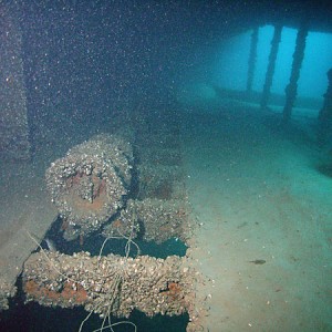 Wreck of the SS Wexford