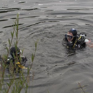 Divers surface for a chat