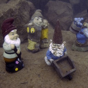 Gnome Garden at 20m/60ft