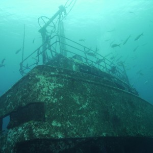 Bahamas Wreck Dive