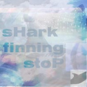 stop shark finning