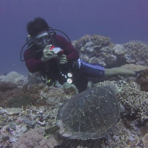 Turtle_Diver