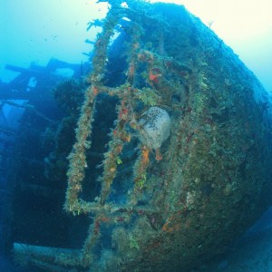 Bahamas Wreck - 1