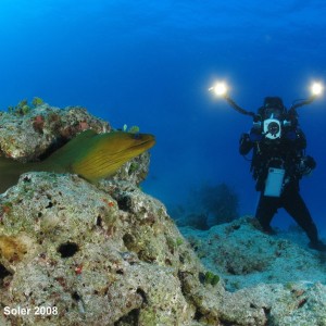 Eric Filming Bahamas Green Eel