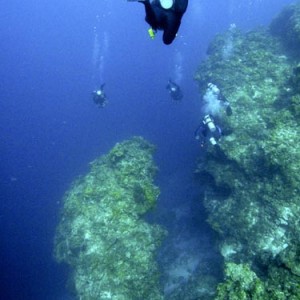 Drift diving on Cozumel's Reefs