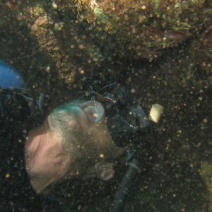 Joe (Bubbles Below) and Cleaner Shrimp