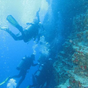 Our dive group moving along a wall