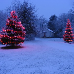 Christmas Trees and Schoolhouse 2008