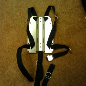 SS BP and Hog Harness